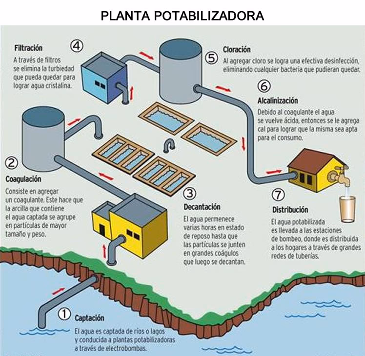 ¿Cómo se extraen los contaminantes del suelo?