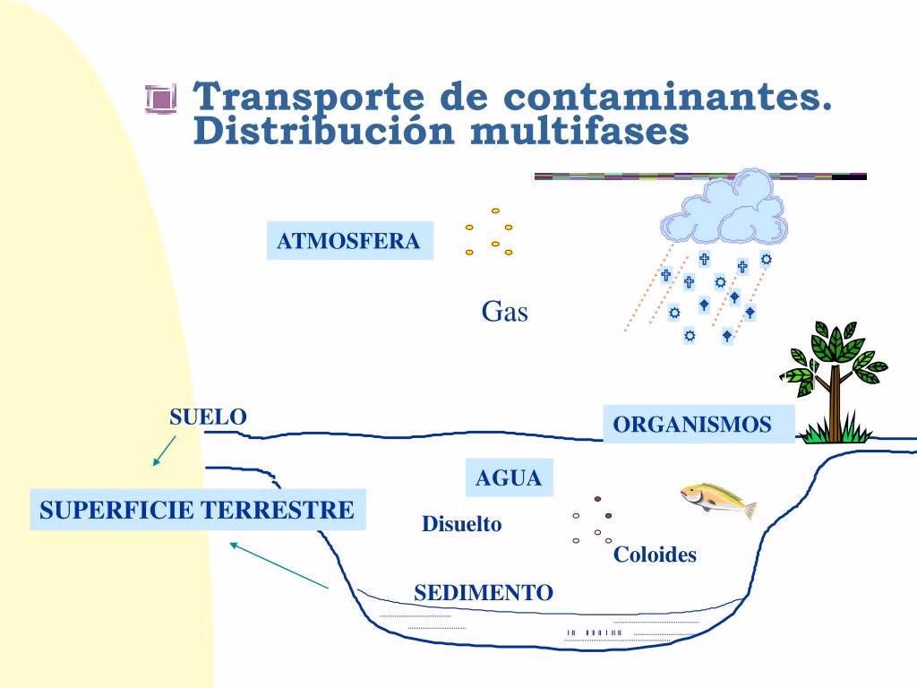 ¿Cuál es la fase previa de los contaminantes?