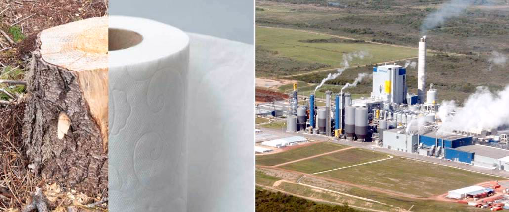 ¿Cuál es el impacto ambiental de la fabricación de papel?