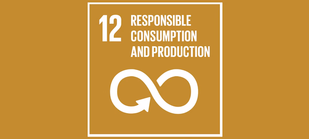 ¿Qué es el marco de programas sobre modalidades de consumo y producción sostenible?