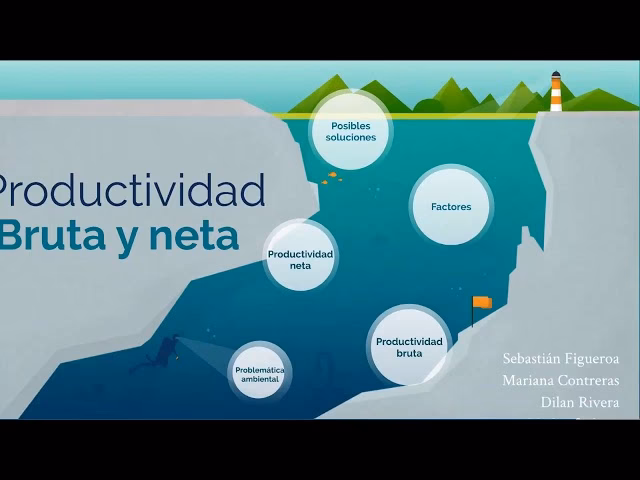 ¿Qué es la productividad primaria bruta?