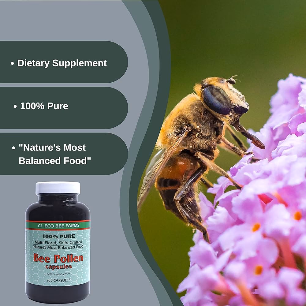 ¿Qué productos ofrece Baby Bee?