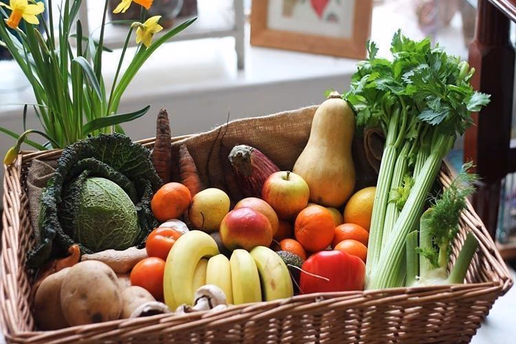 ¿Cómo se identifican los productos ecológicos en la UE?