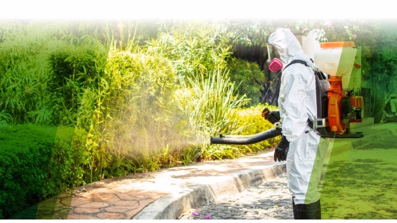 ¿Qué es la fumigación ecológica?
