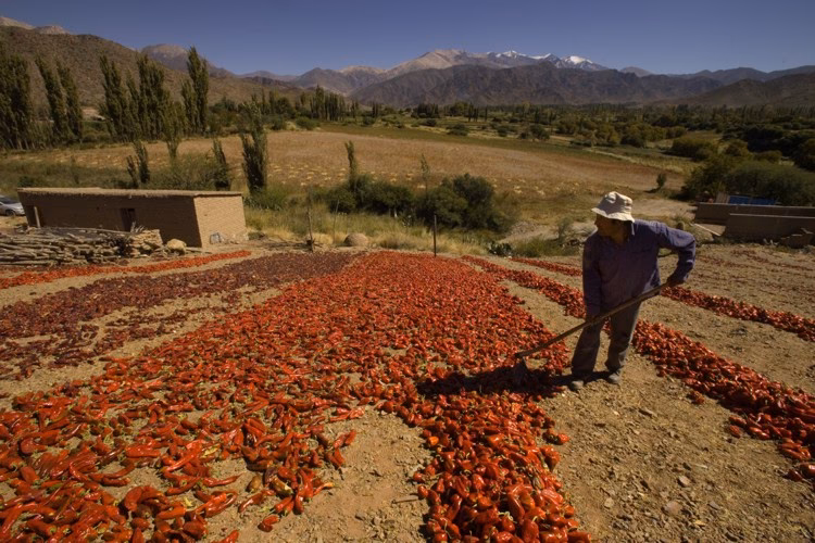 ¿Cuáles son los proyectos más importantes de la provincia de Salta?