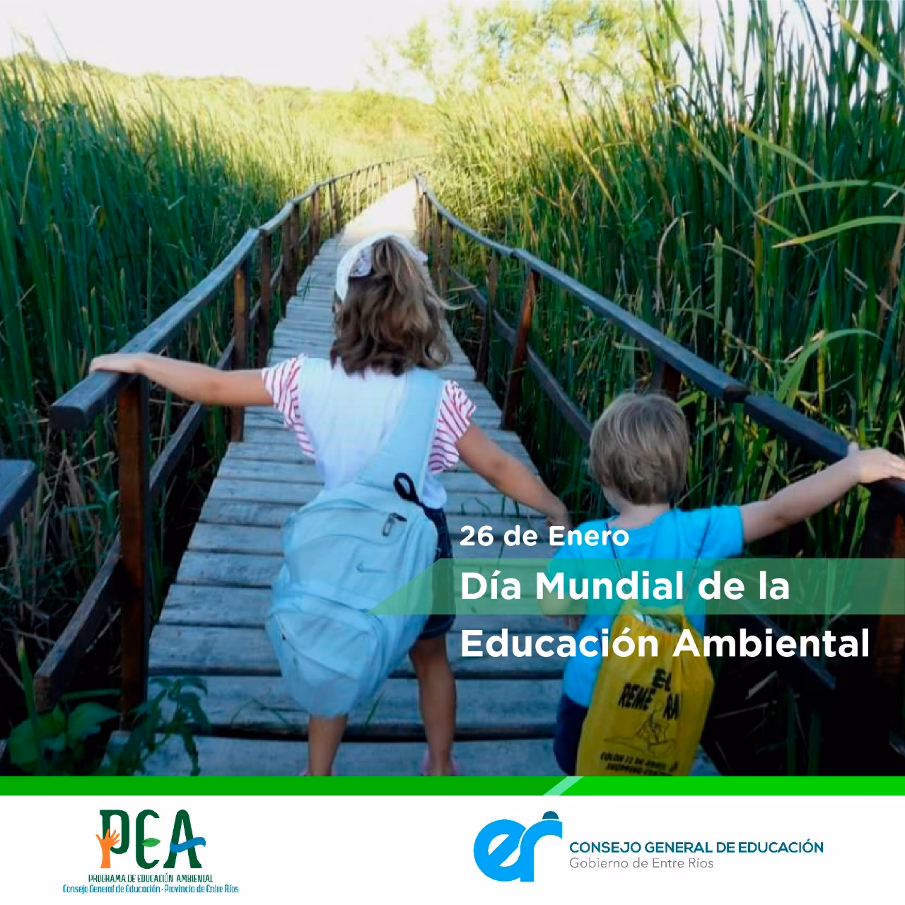 ¿Cuál es el ejemplo de un programa de gestión ambiental aplicable a las eds?