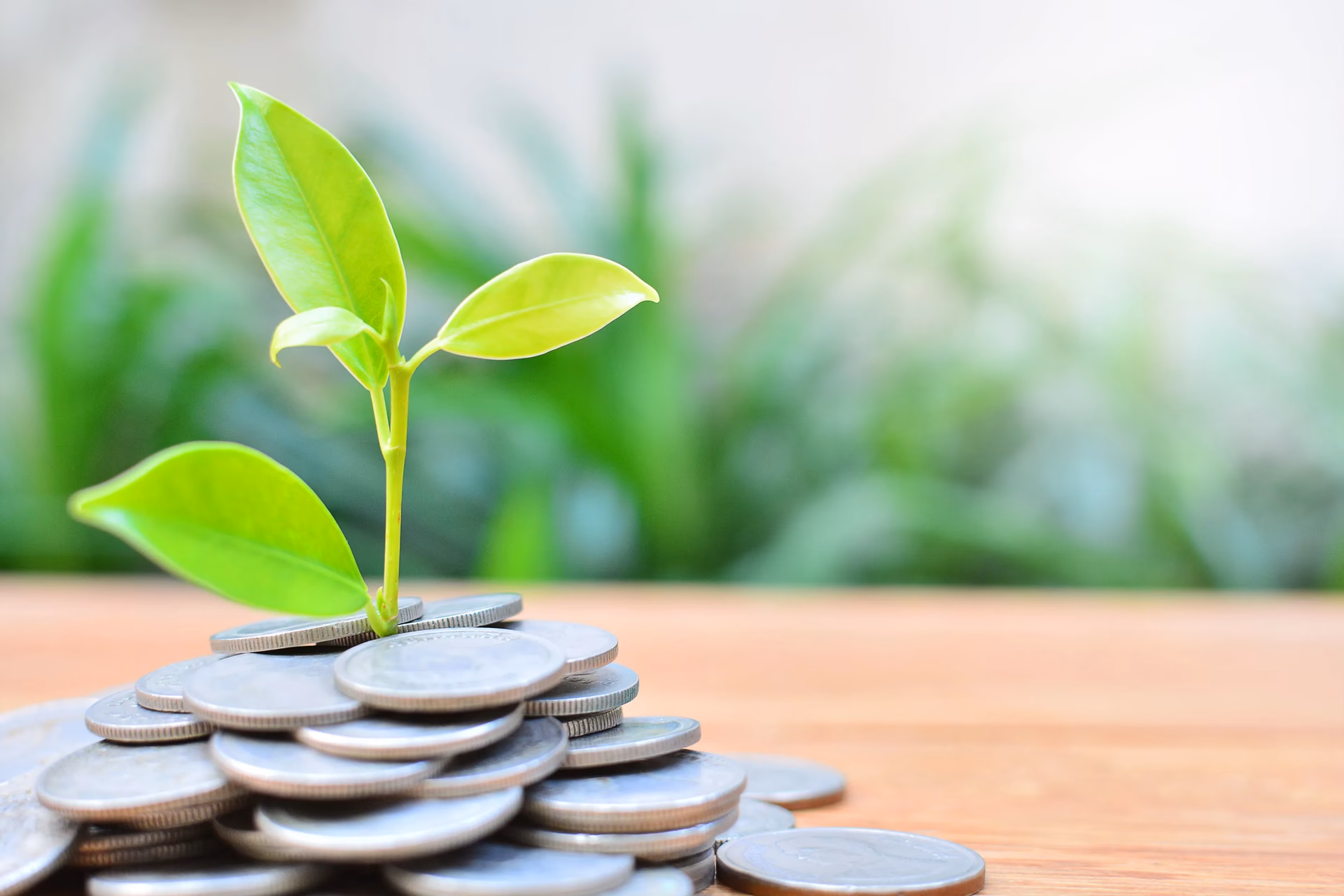 ¿Qué es la gestión de sitios contaminados en Perú?