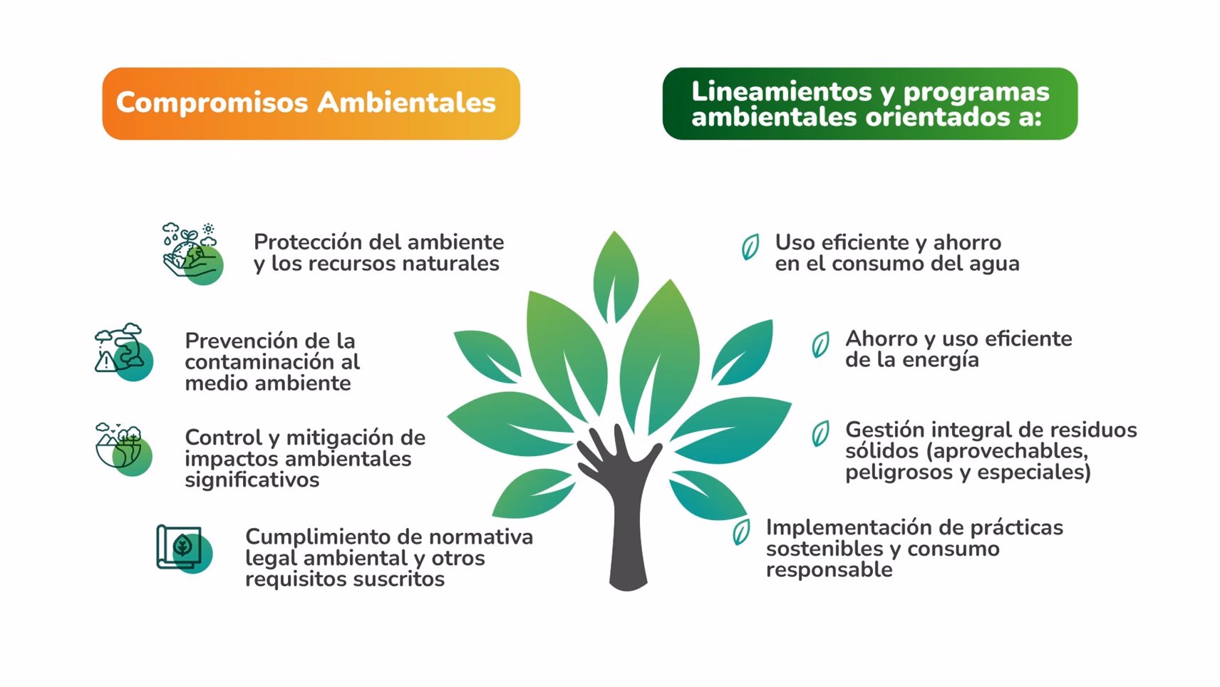 ¿Cómo garantizar la implementación y sostenibilidad de los programas de Gestión Ambiental?