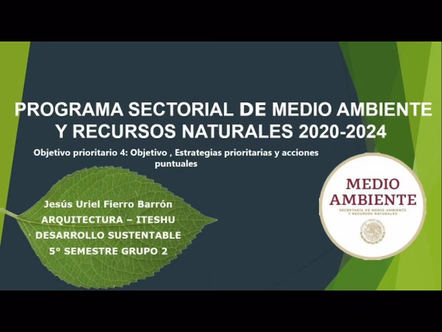 ¿Qué es el programa de manejo ambiental?