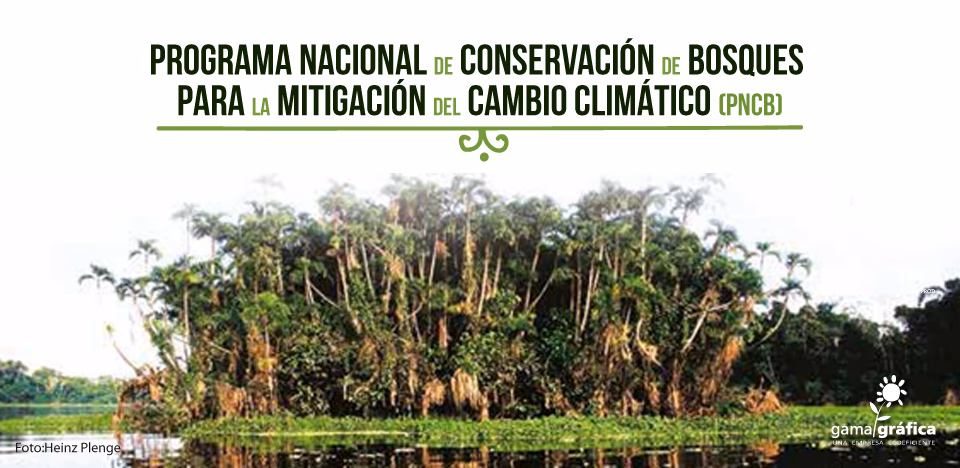 ¿Qué es el Sistema Nacional de monitoreo de bosques nativos?