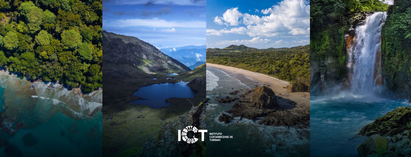 ¿Por qué los selfies están de moda?