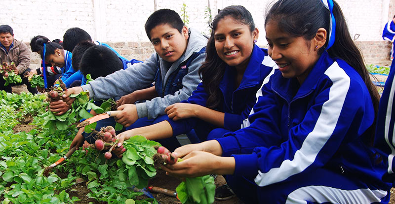 ¿Qué son los planes de acción para la conservación de especies y ecosistemas?