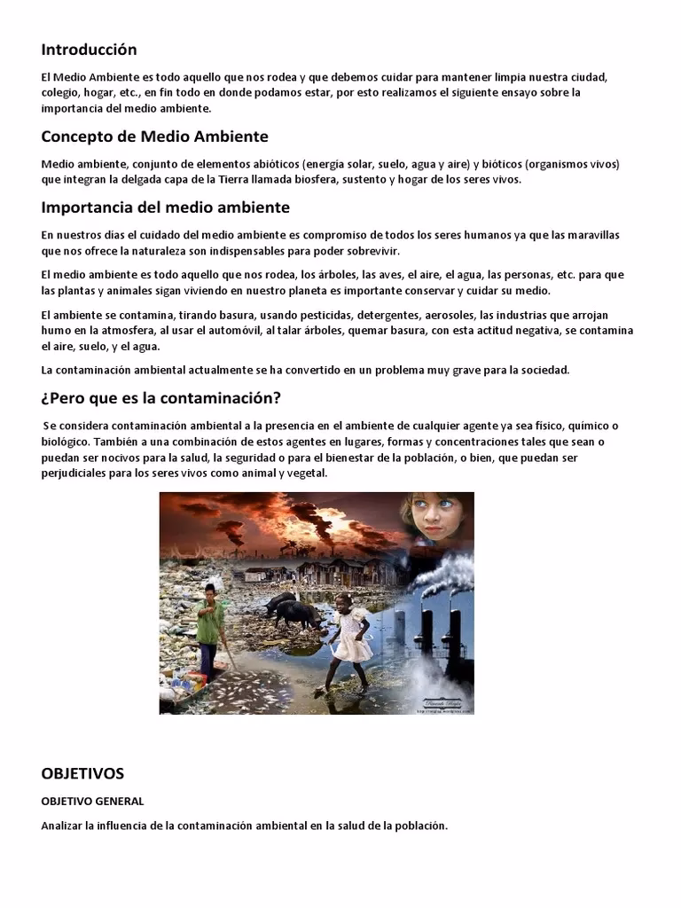 ¿Cuáles son los diferentes tipos de contaminación ambiental?
