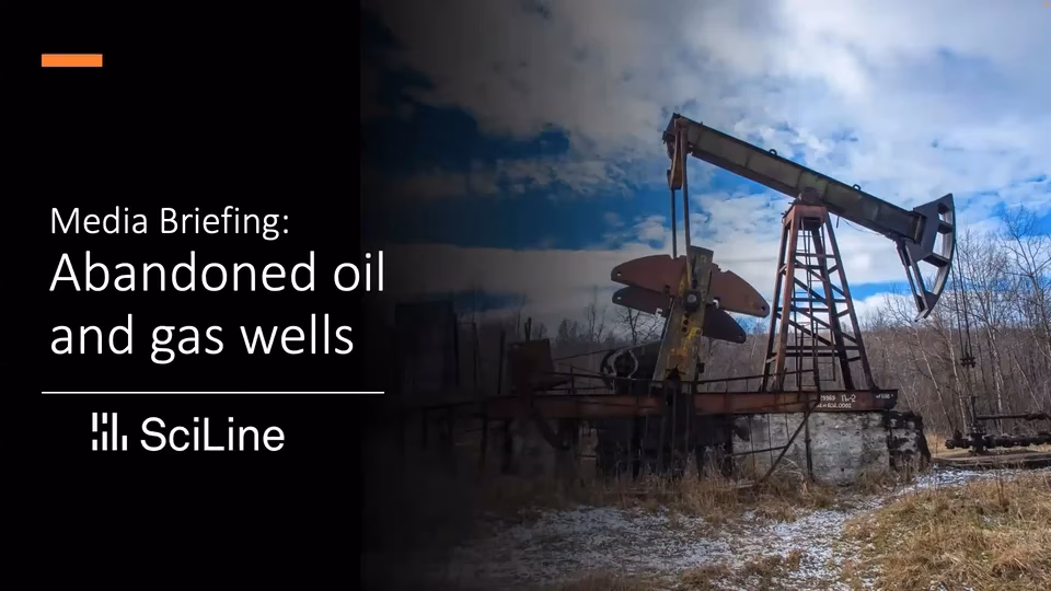 ¿Cuáles son los gases tóxicos?