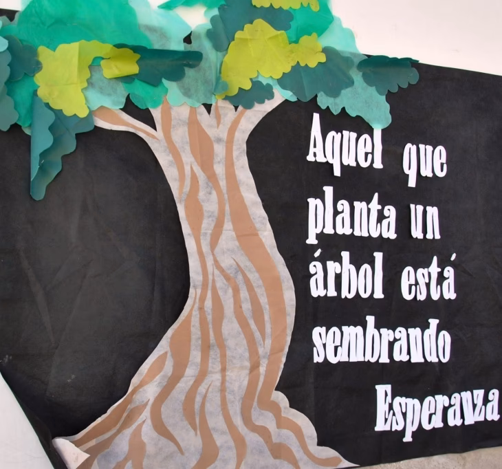 ¿Cuáles son las promesas para el nuevo año escolar?