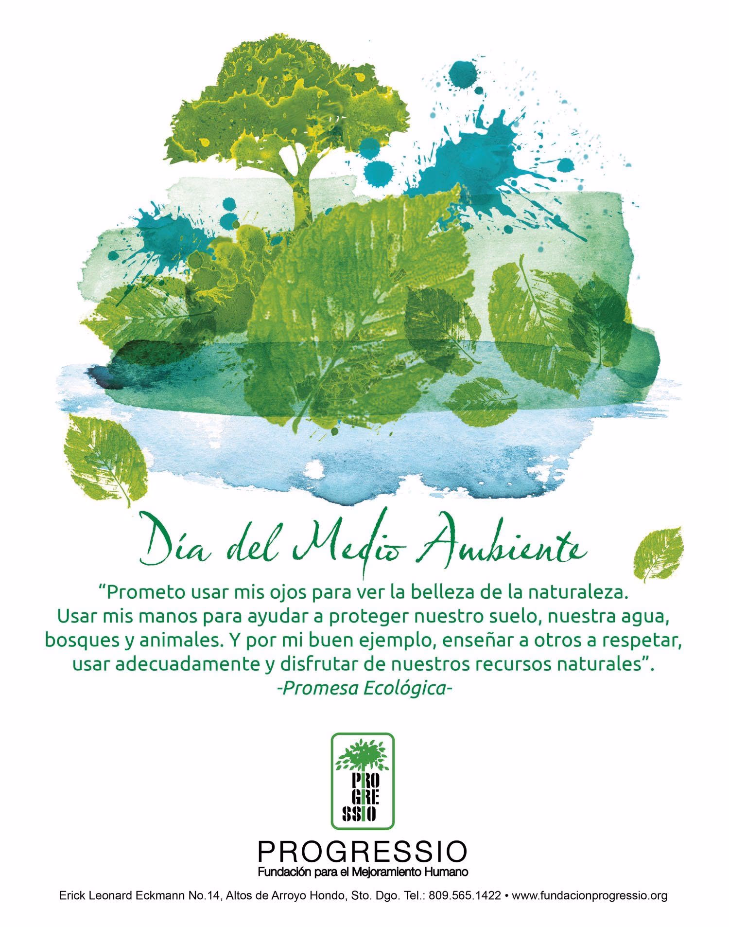 ¿Qué es la promesa del cuidado de Sos?