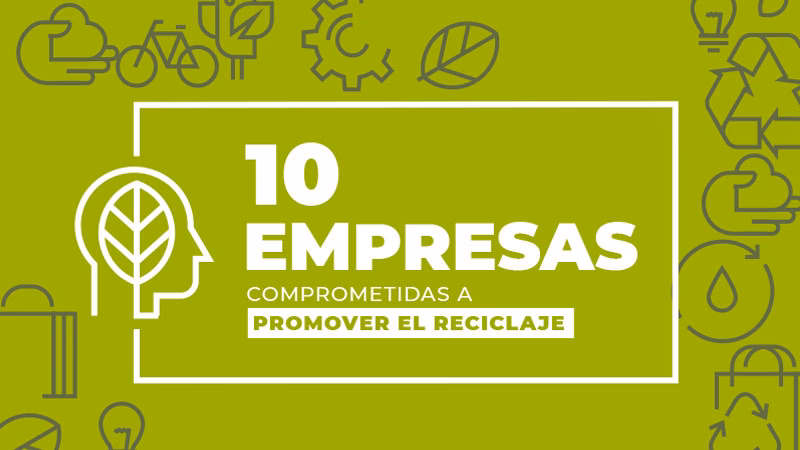¿Cuáles son los ejemplos exitosos de Empresas de reciclaje?