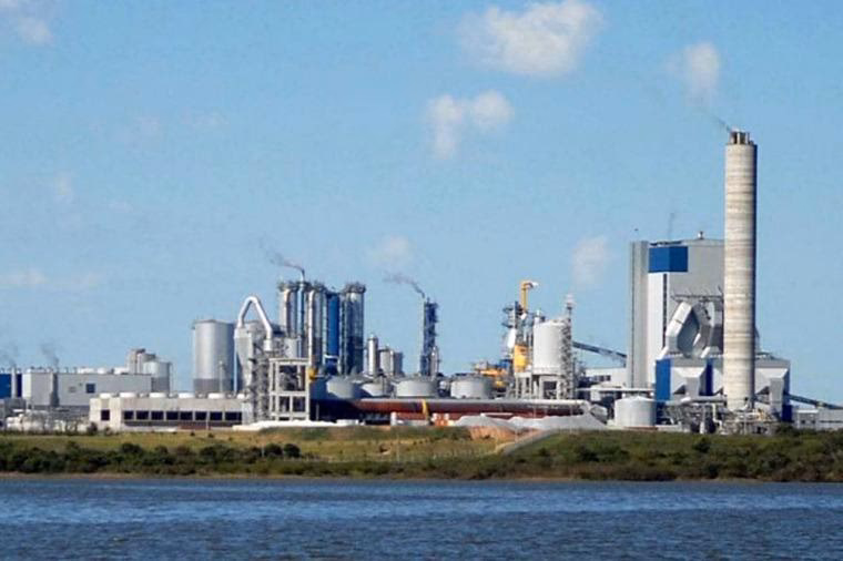 ¿Quién monitorea las áreas de impacto medioambiental de la pastera?