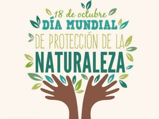 ¿Por qué es importante la protección del Medio Ambiente?