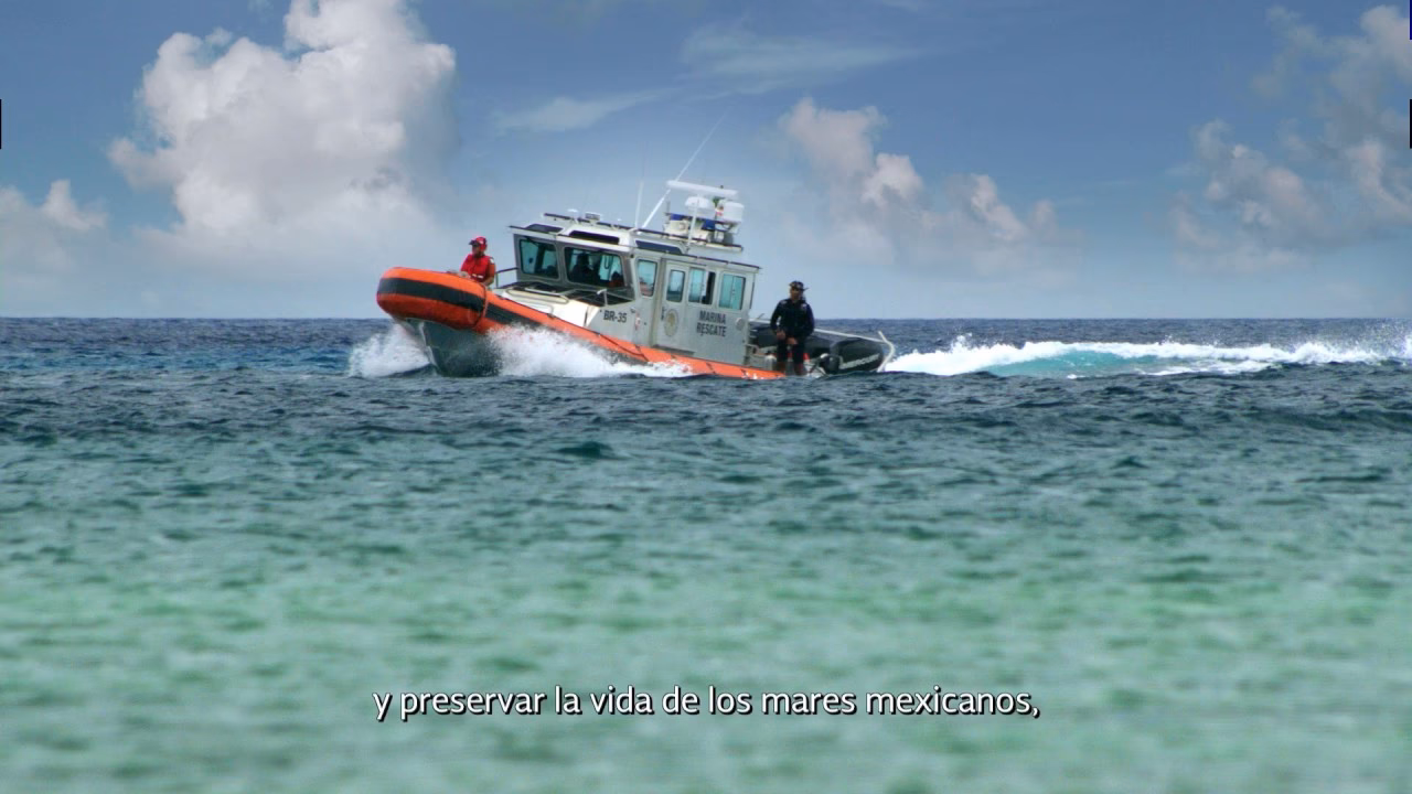 ¿Qué es el programa de Acción Mundial para la protección del medio marino?
