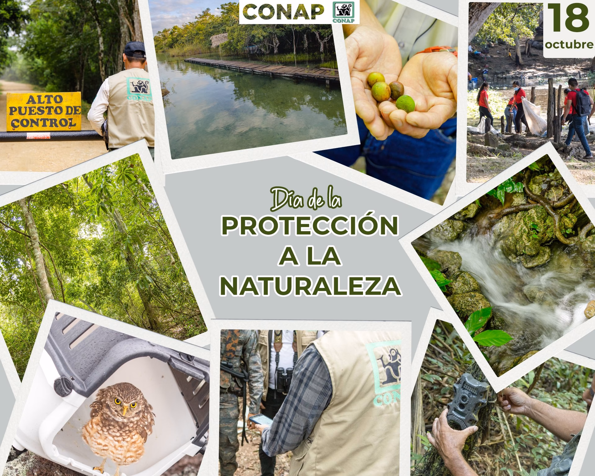 ¿Cuáles son los fondos que regulan la conservación de la naturaleza?