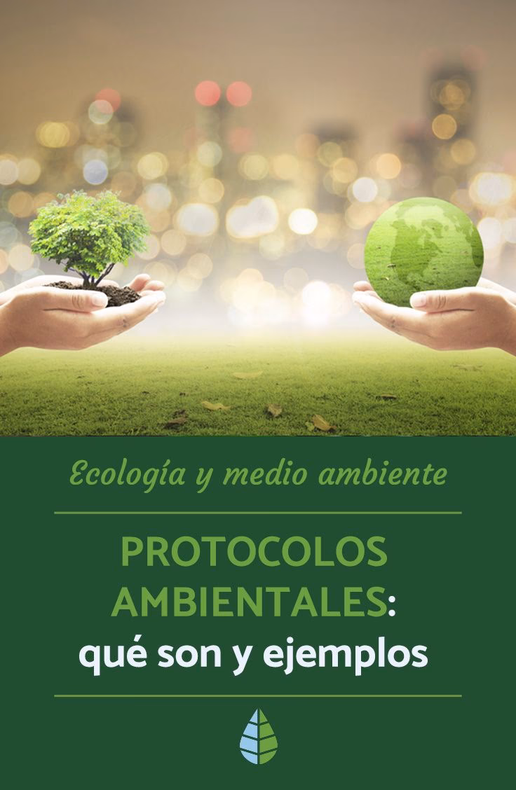 ¿Qué es el protocolo Antártico ambiental?