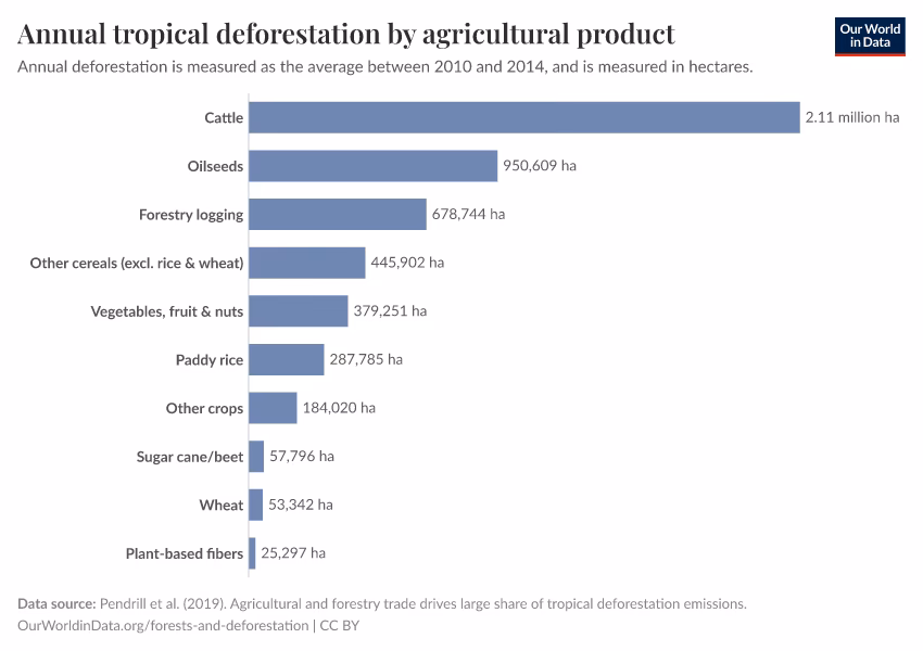 What are the proximate causes of deforestation and forest degradation?