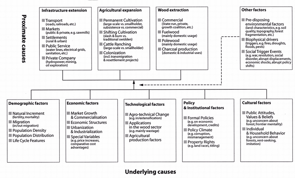 What are the main drivers of tropical deforestation?