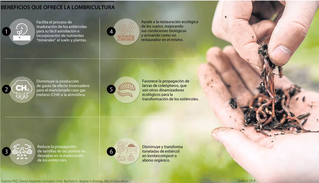 ¿Cómo se prepara el material para la lombricultura?