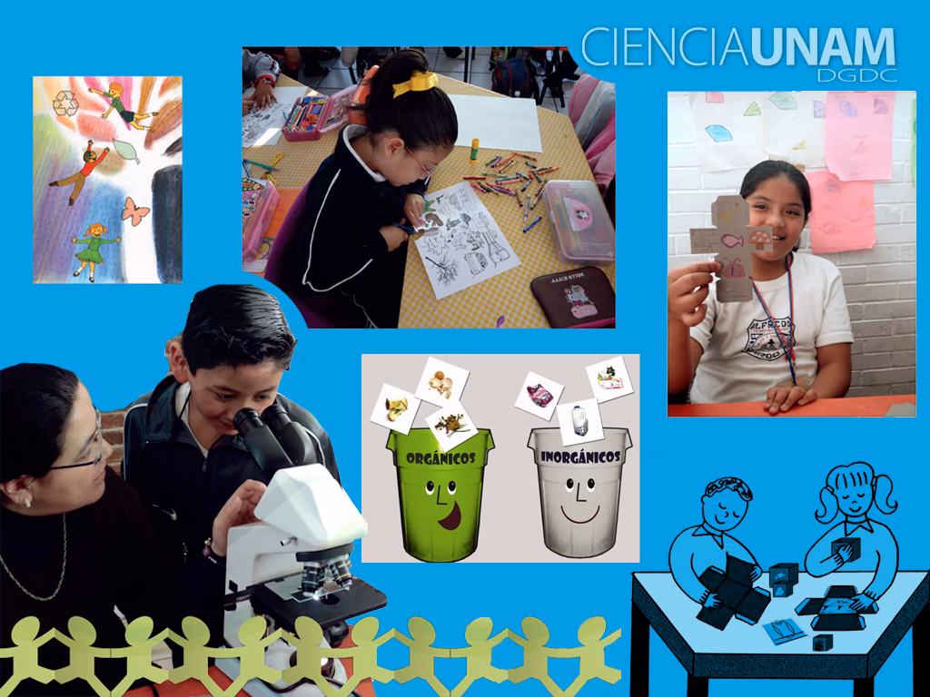 ¿Qué es el programa de Educación Ambiental?