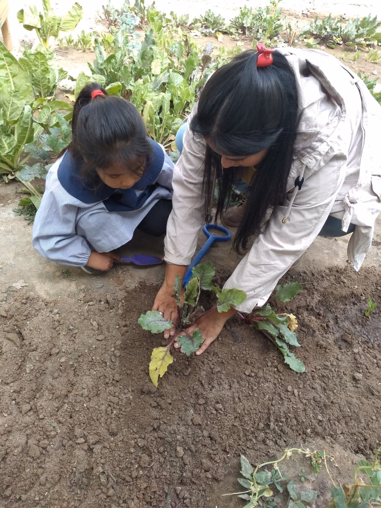 ¿Cómo se prepara la Feria de Ciencias?