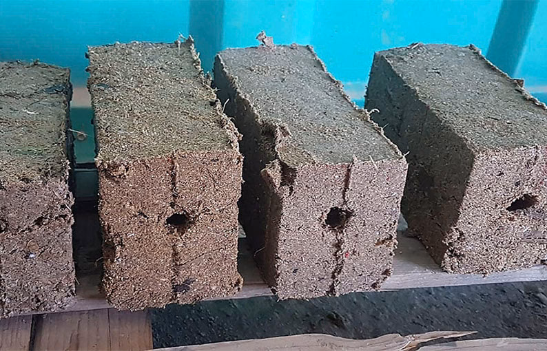 ¿Por qué es importante reciclar el aserrín?