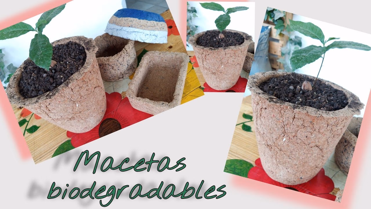 ¿Cómo hacer un proyecto de reciclaje?