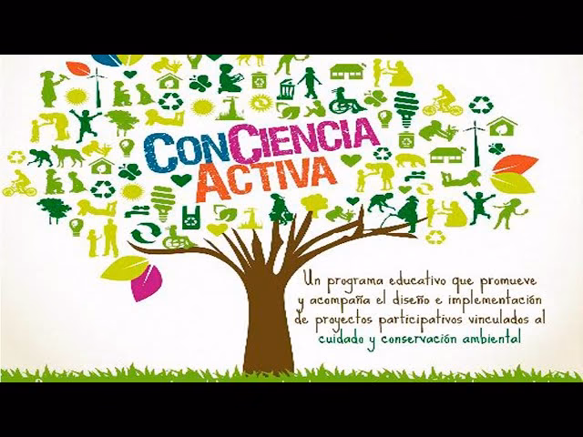 ¿Qué es la educación ambiental y por qué es clave en las escuelas?