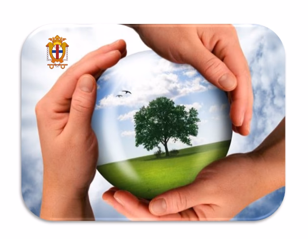 ¿Cuáles son los objetivos de los proyectos ambientales?