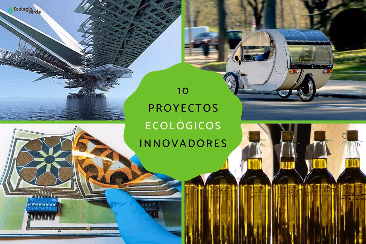 ¿Qué es el cuidado del Medio Ambiente?