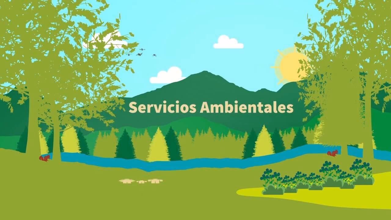 ¿Cuál es la diferencia entre los programas PSA y los servicios ambientales?