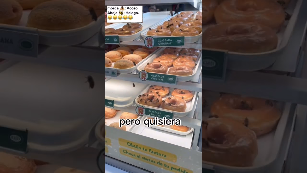 ¿Cómo se alimentan las abejas?