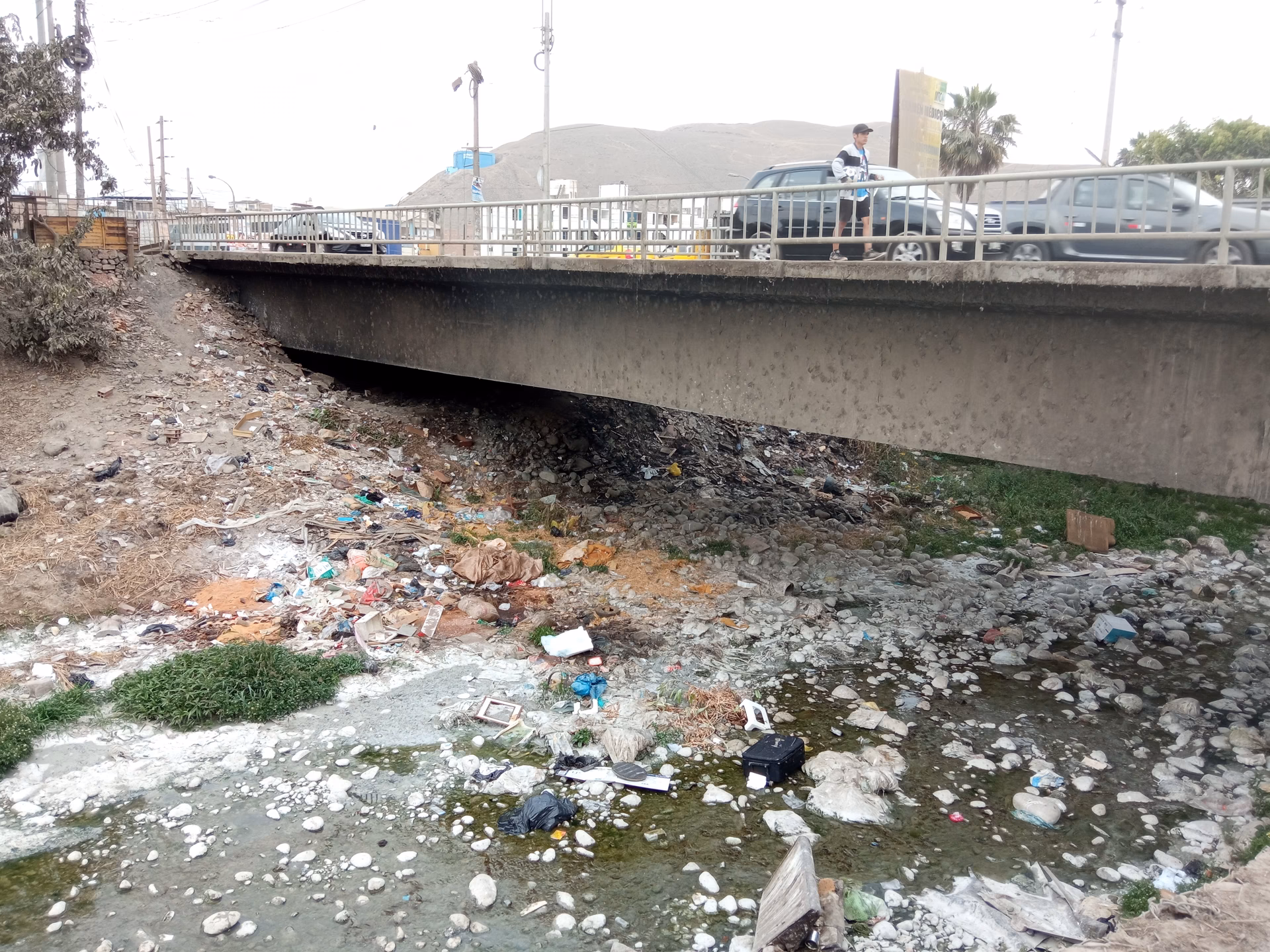 ¿Cuál es el impacto ambiental del puente Chacao?