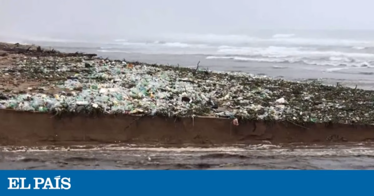 ¿Por qué algunos turistas se bañan en zonas contaminadas?