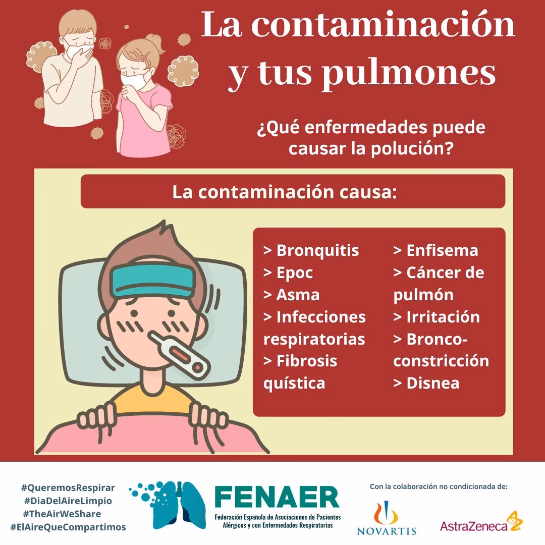 ¿Por qué los pulmones se contaminan más?