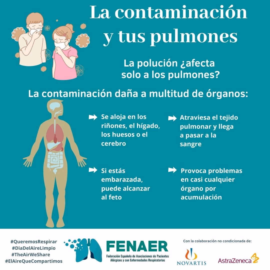 ¿Por qué los pulmones se contaminan más?