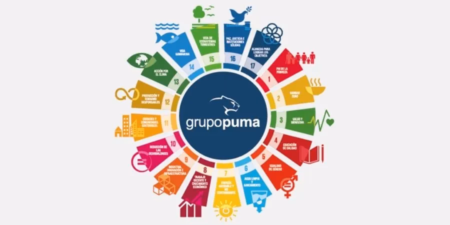 ¿Cuál es la finalidad del informe de sostenibilidad?