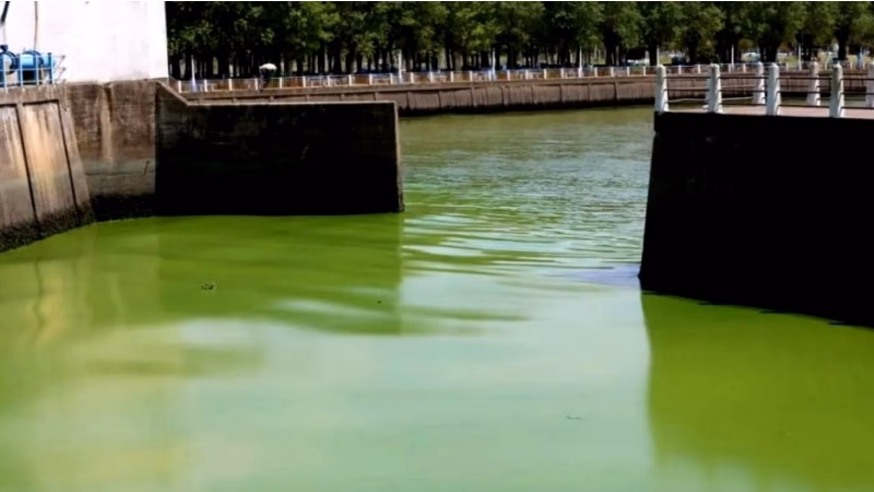 ¿Dónde se encuentra la reserva natural de Punta Lara?