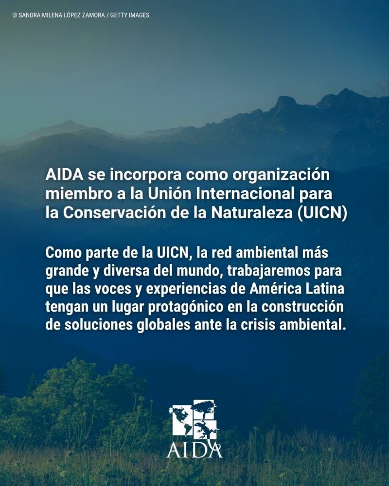 ¿Cuál es el tema más importante de Aida?