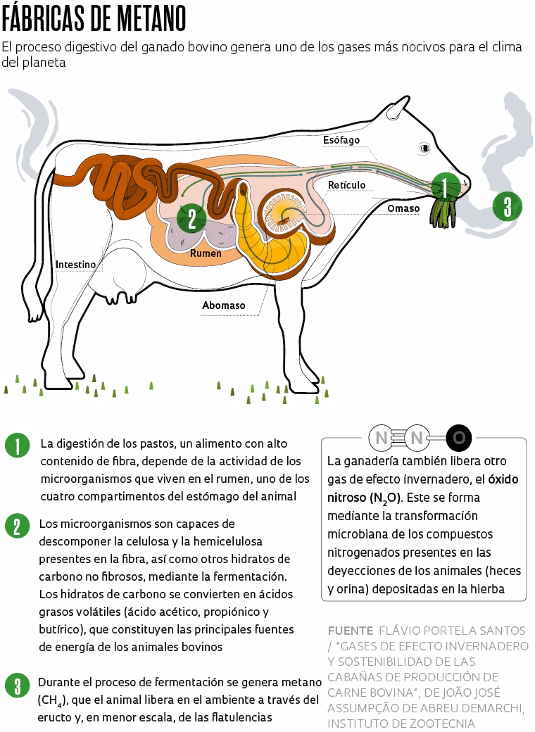 ¿Cuáles son los impactos del CC sobre la ganadería?
