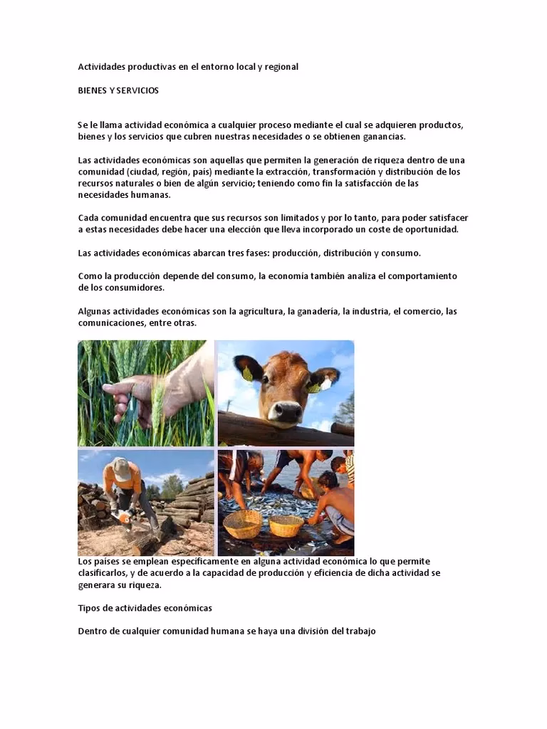 ¿Cuáles son las principales actividades económicas de la región patagónica?