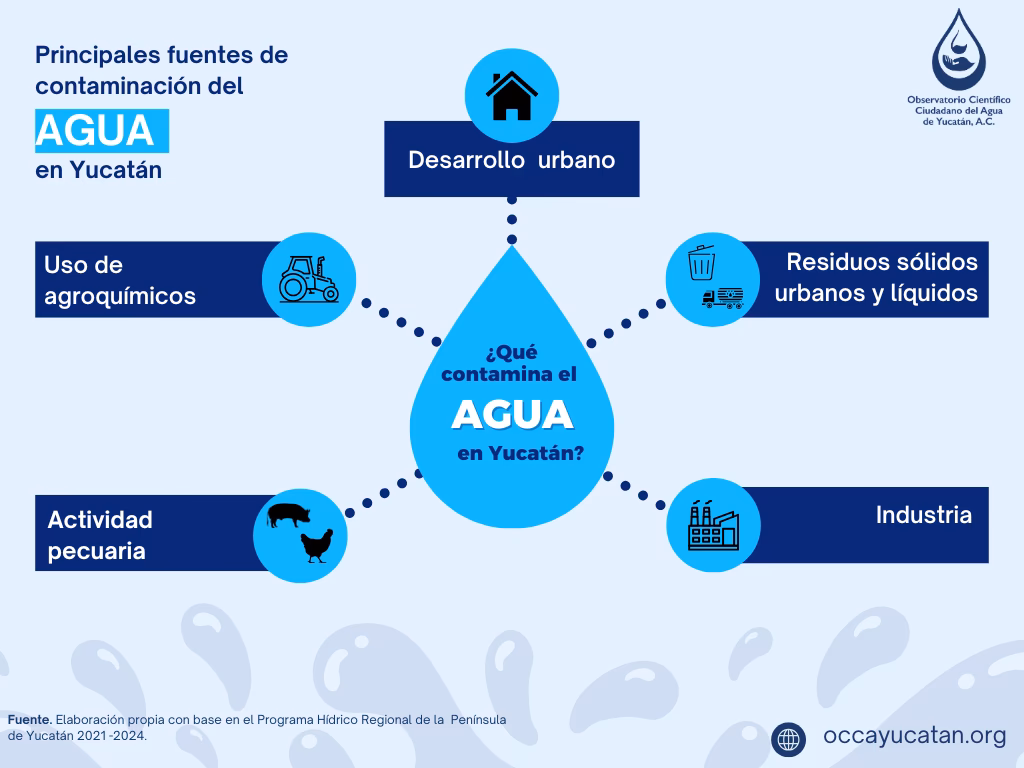 ¿Qué actividades diarias contaminan el agua?
