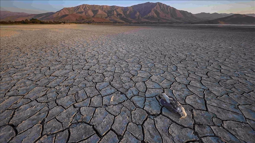 ¿Cómo abordar la crisis de los recursos hídricos?
