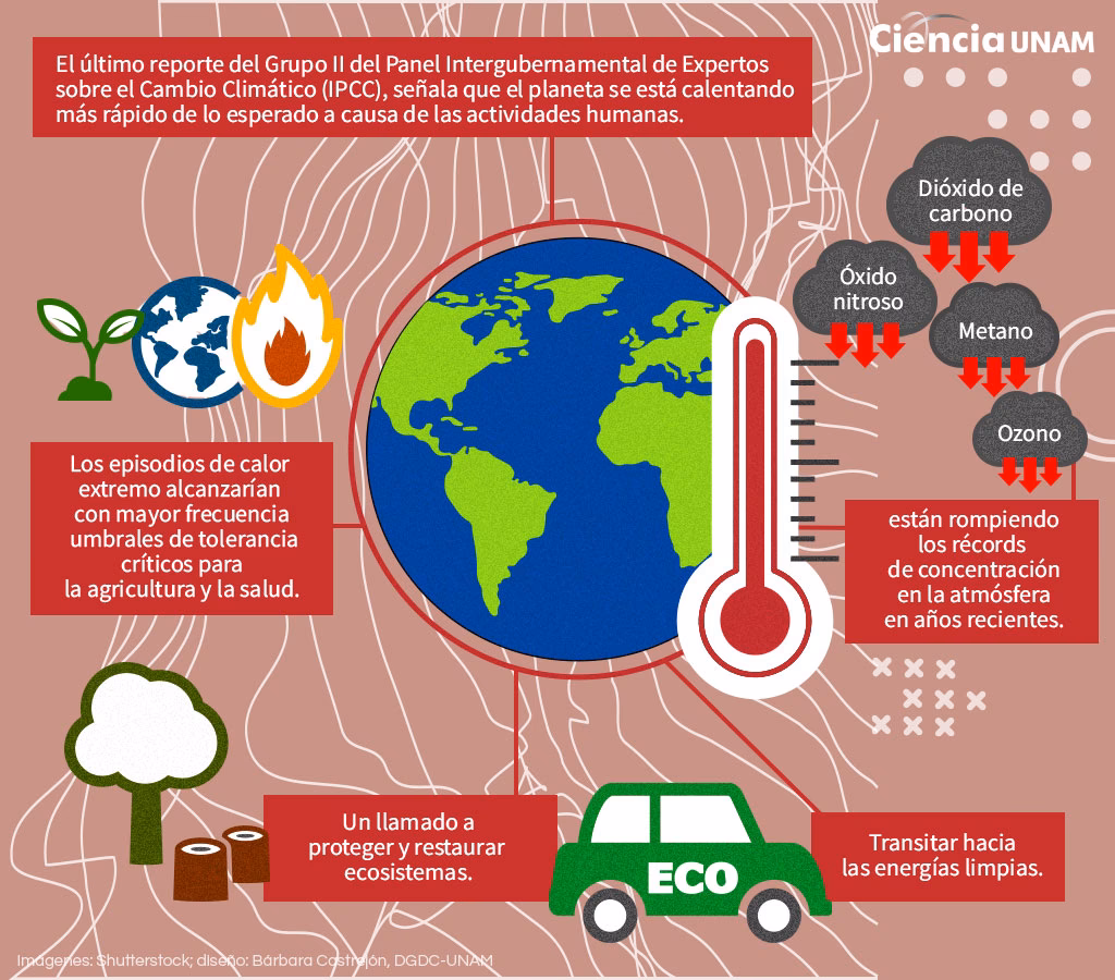 ¿Qué es el calentamiento global?